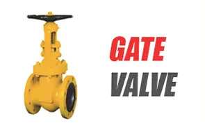 Gate Valve Gujarat