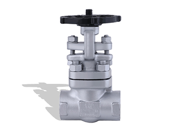 Control Valve Indonesia